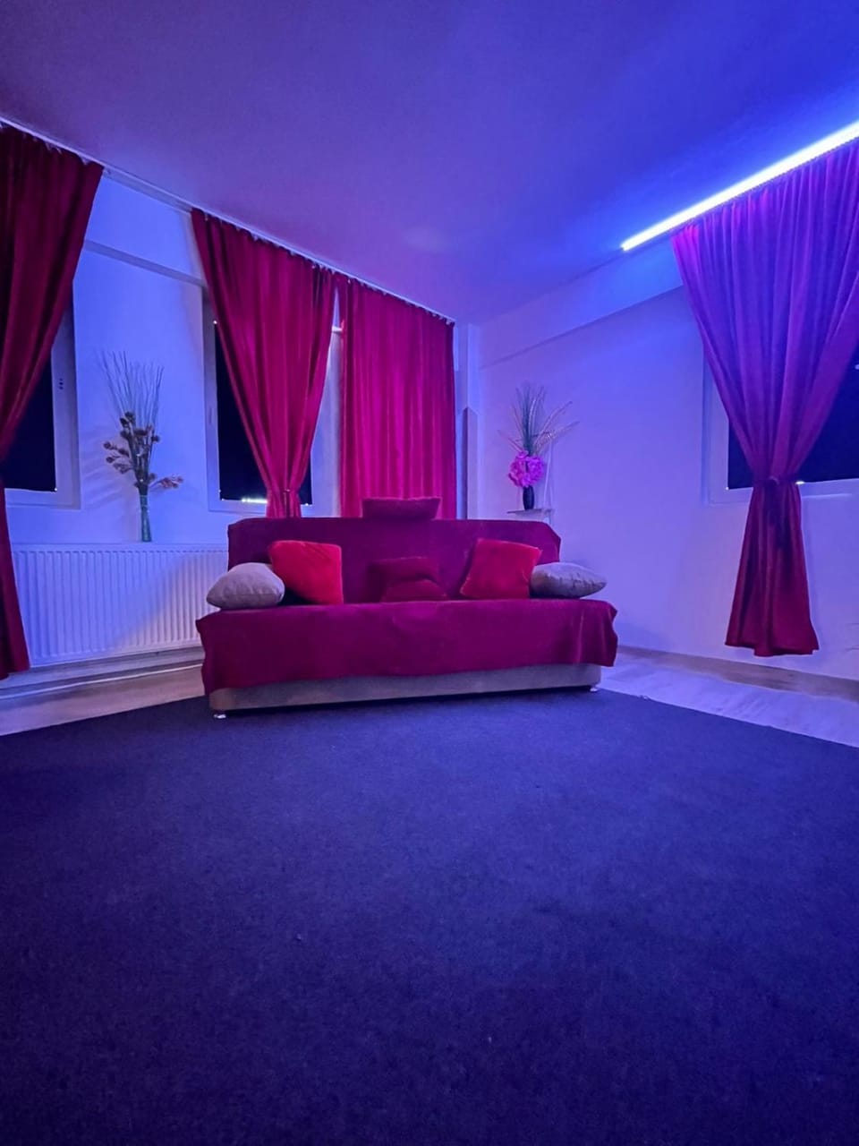 Red Velvet Apartment in Timisoara