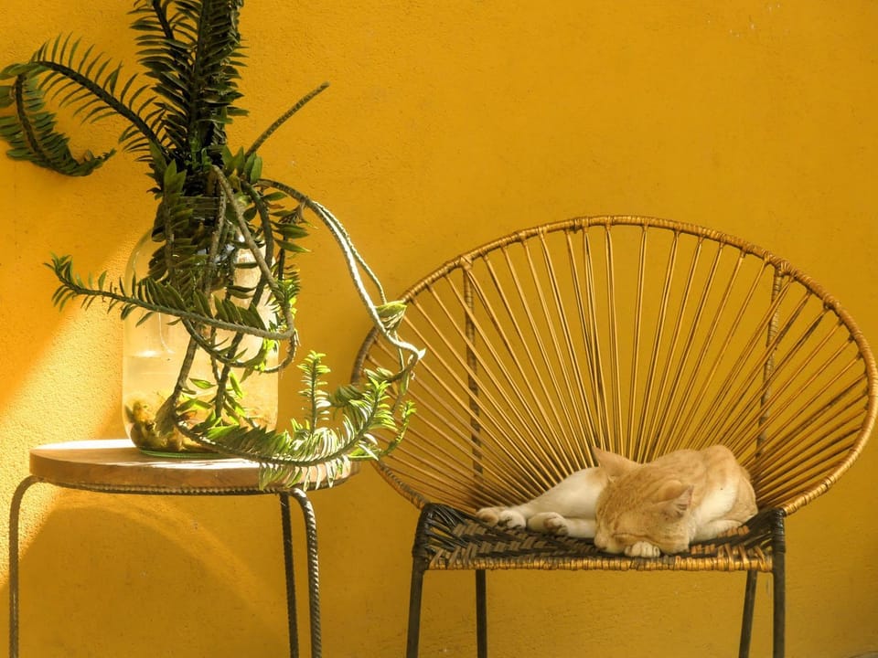 Casa Rita Bed and Breakfast in Magdalena, Colombia