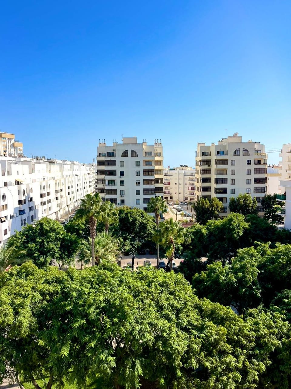 Natural landscape, Garden, City view