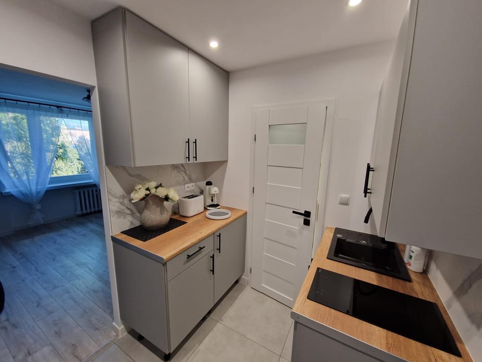 Hugo Apartment in Lesser Poland Voivodeship