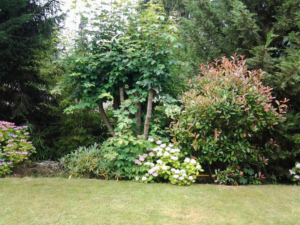 Entre amis Bed and Breakfast in Grand Est
