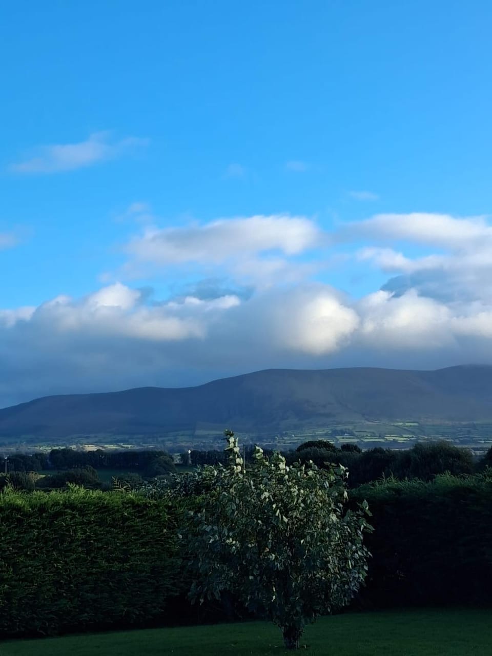 Fairway Vacation rental in County Kerry