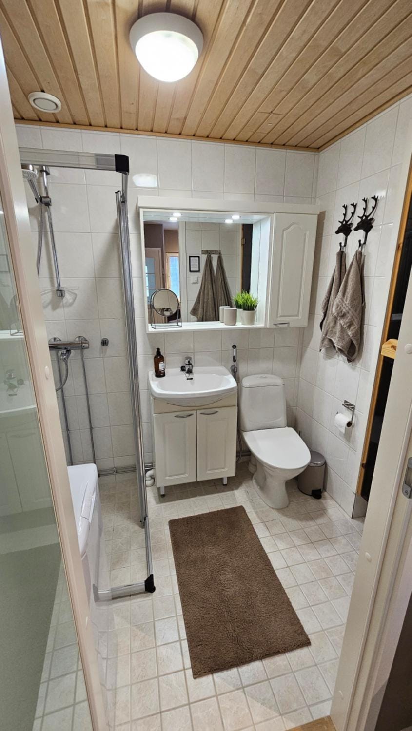 Shower, Toilet, Bathroom, bidet
