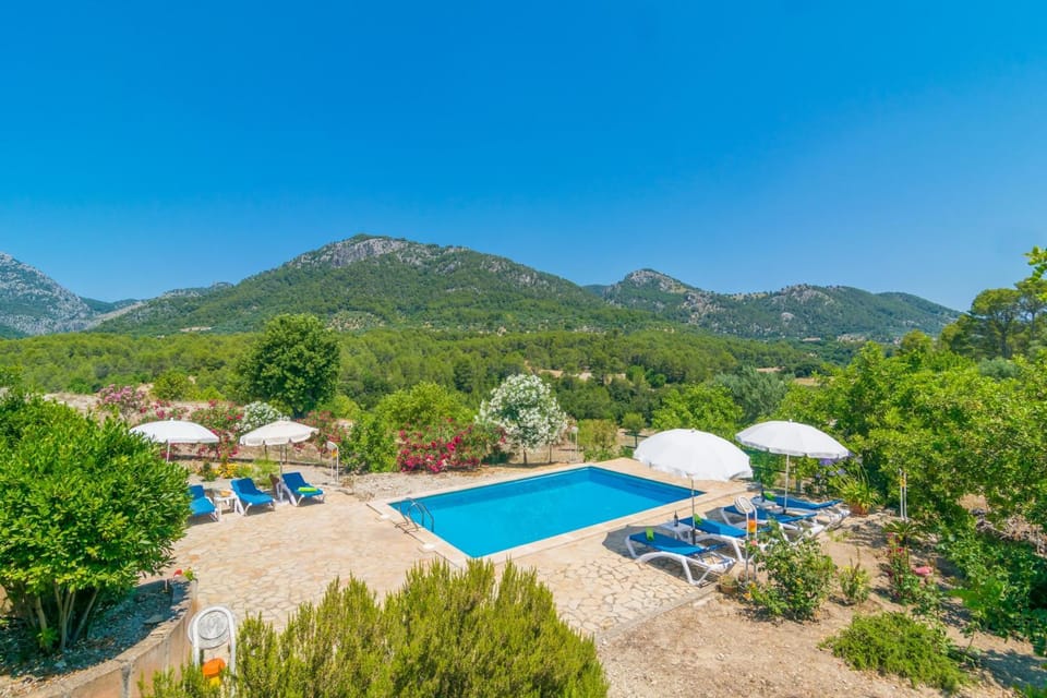 Mountain view, Swimming pool