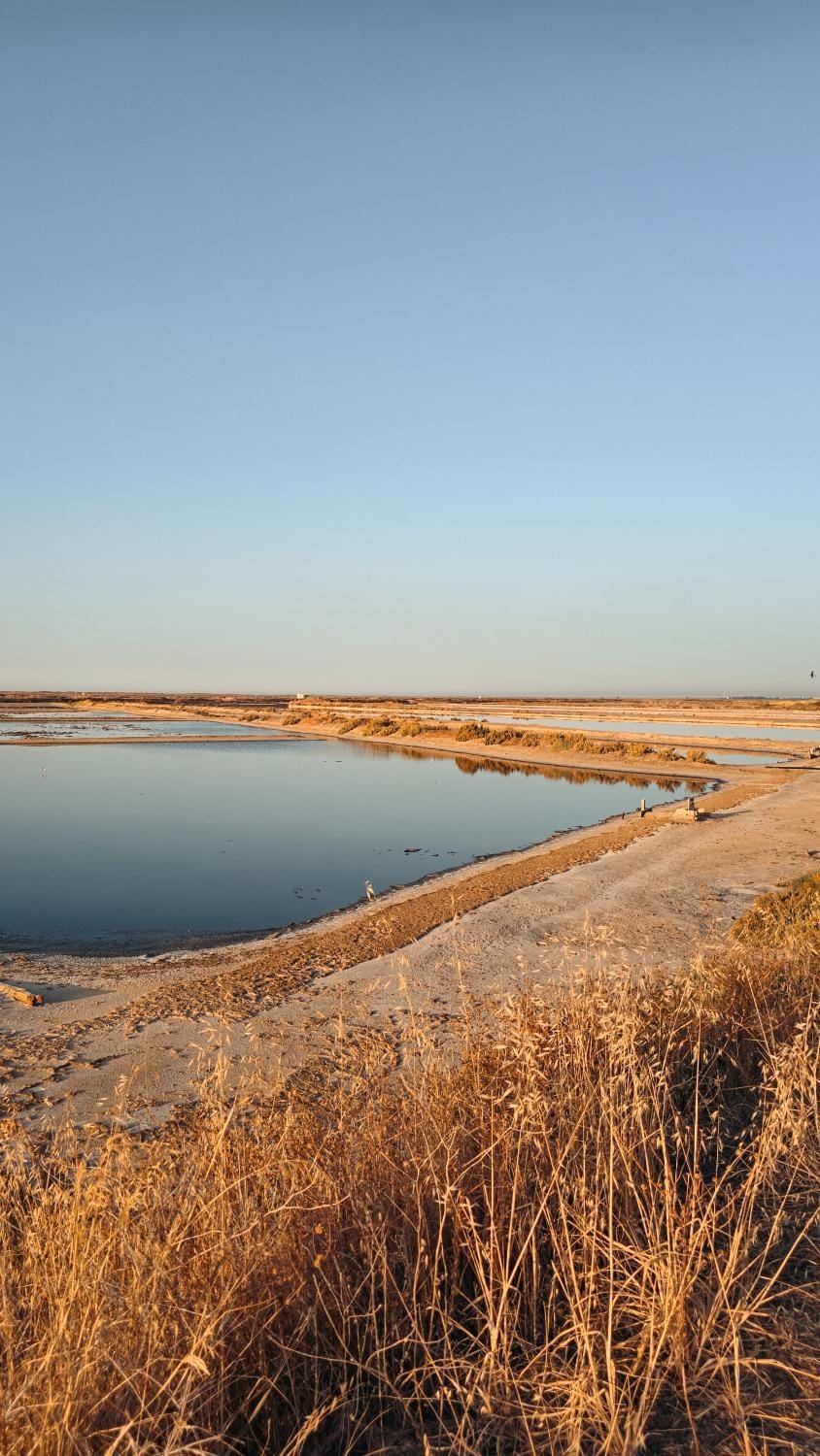 Natural landscape