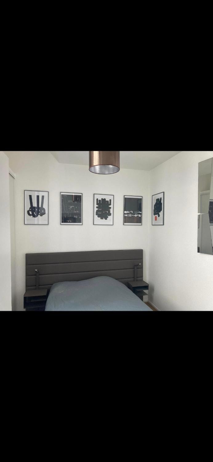 Appartement T2 chic et reposant Apartment in Occitanie