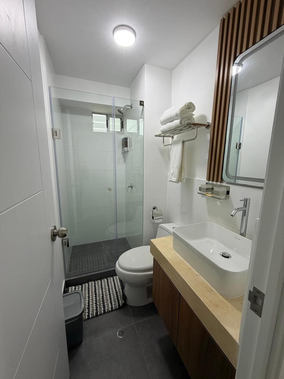 Shower, Toilet, Bathroom, towels