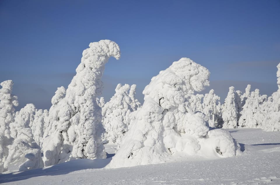Off site, Winter