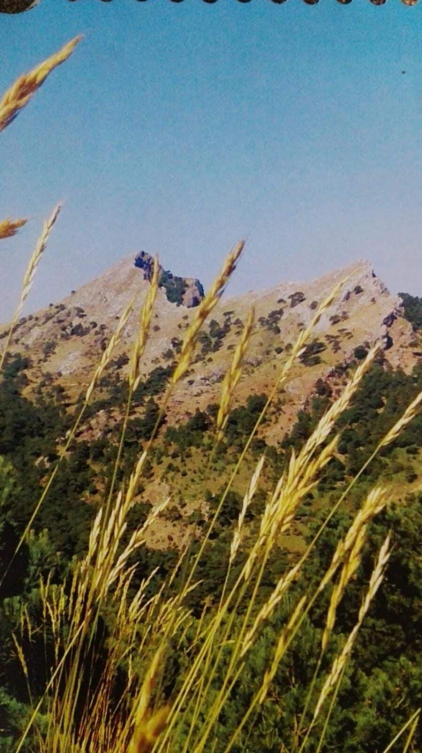 Natural landscape, Mountain view, Location