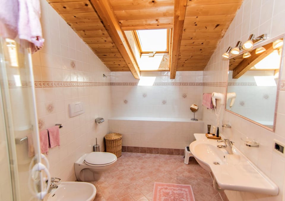 Shower, Toilet, Bathroom, bidet
