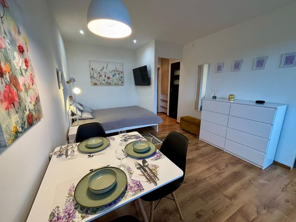 Studio Pulawska Apartment in Warsaw