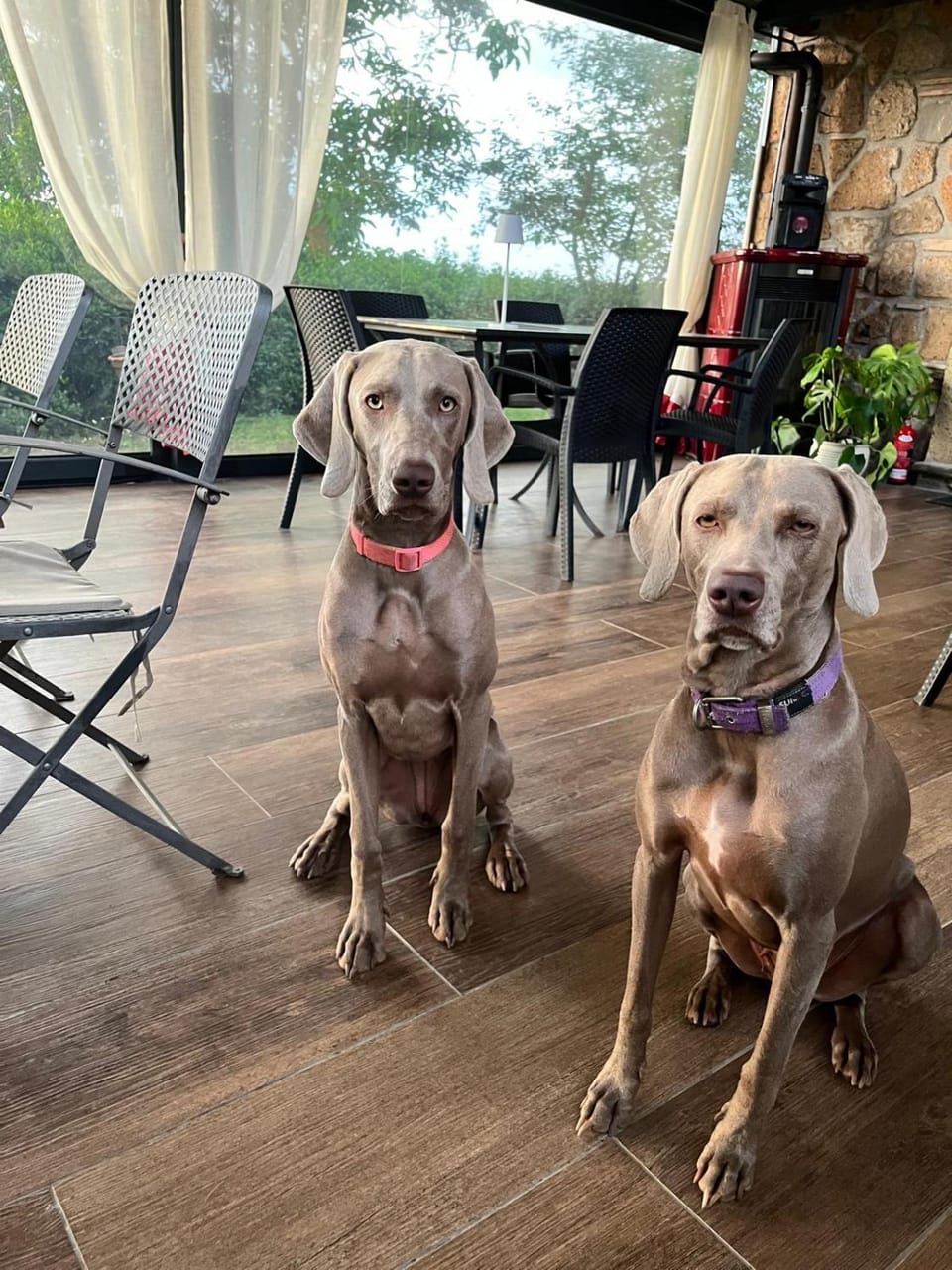 Agriturismo Podere Pescara Farm Stay in Orvieto