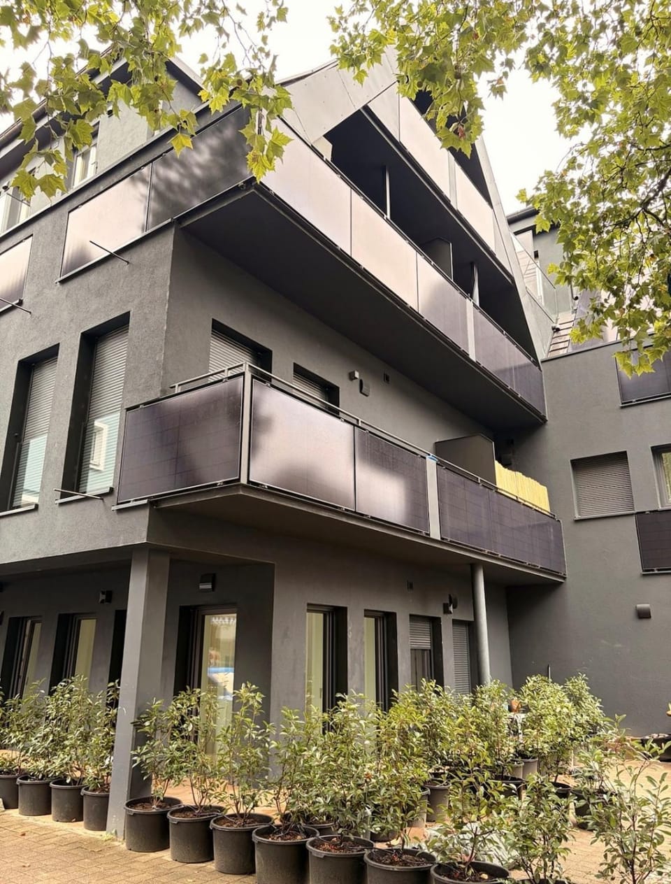 Schwarzwald-Auszeit Design&Natur Apartment in Ortenau