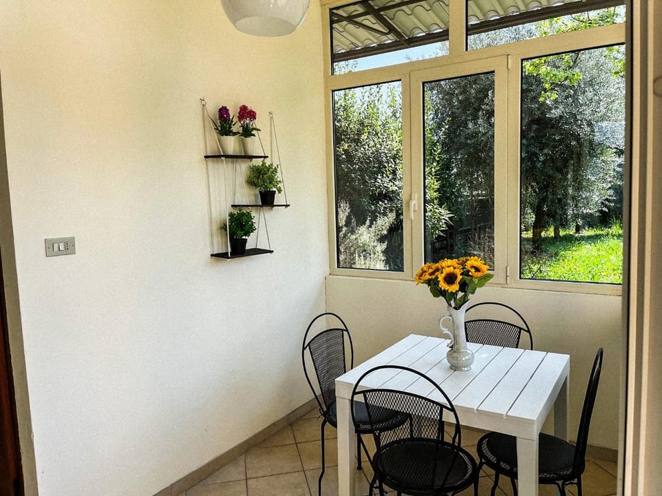 Garden, Seating area, Garden view