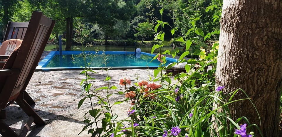 Spring, Day, Garden, Garden view, Pool view, Swimming pool, sunbed