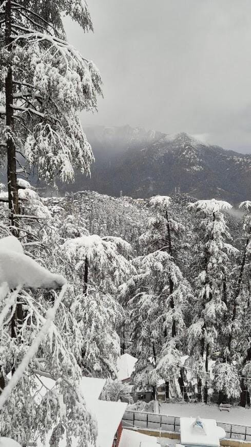 Day, Natural landscape, Winter, Mountain view