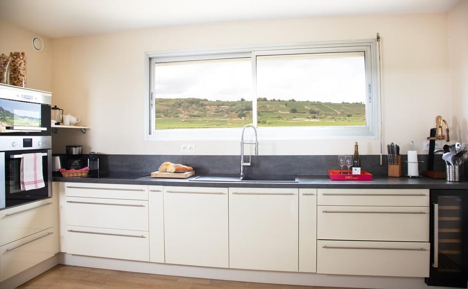 Coffee/tea facilities, View (from property/room), Kitchen or kitchenette, stove