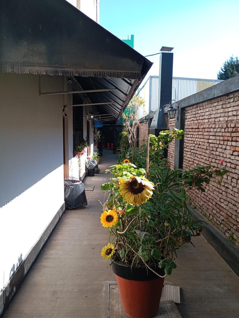 Property building, Garden