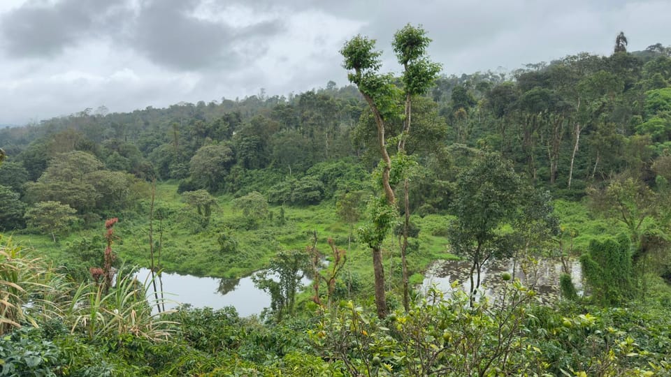 Crestview homestay coorg Vacation rental in Karnataka