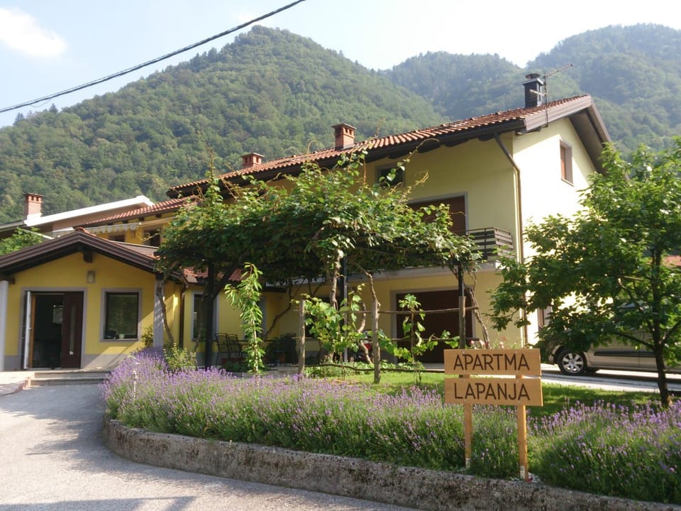 Facade/entrance, Summer, Garden, On site