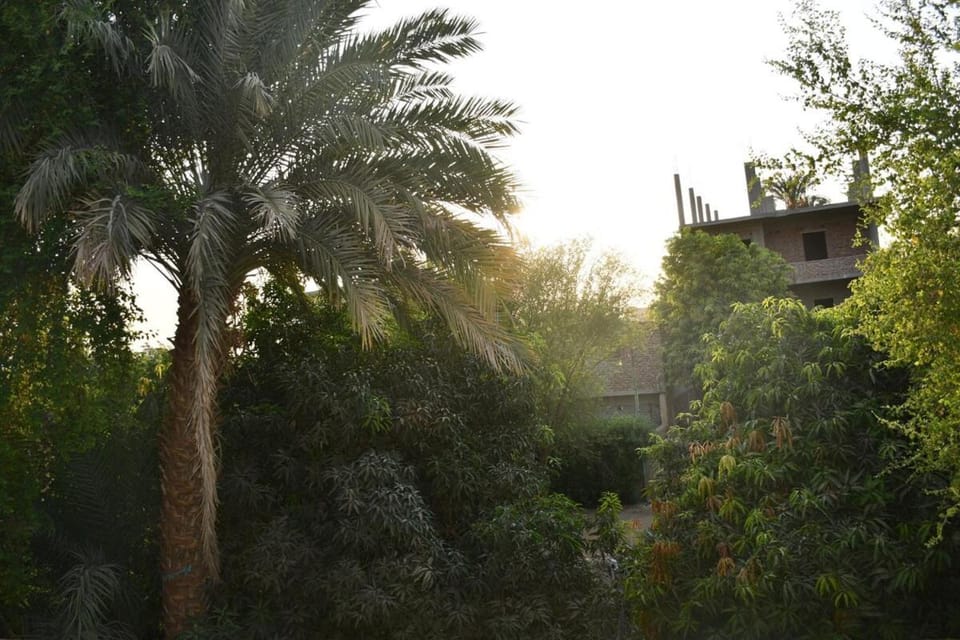 Ahmed House Apartment in Luxor Governorate