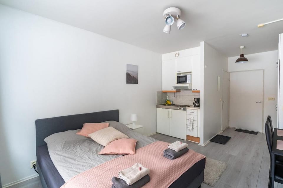 Bed, Kitchen or kitchenette, Photo of the whole room, stove