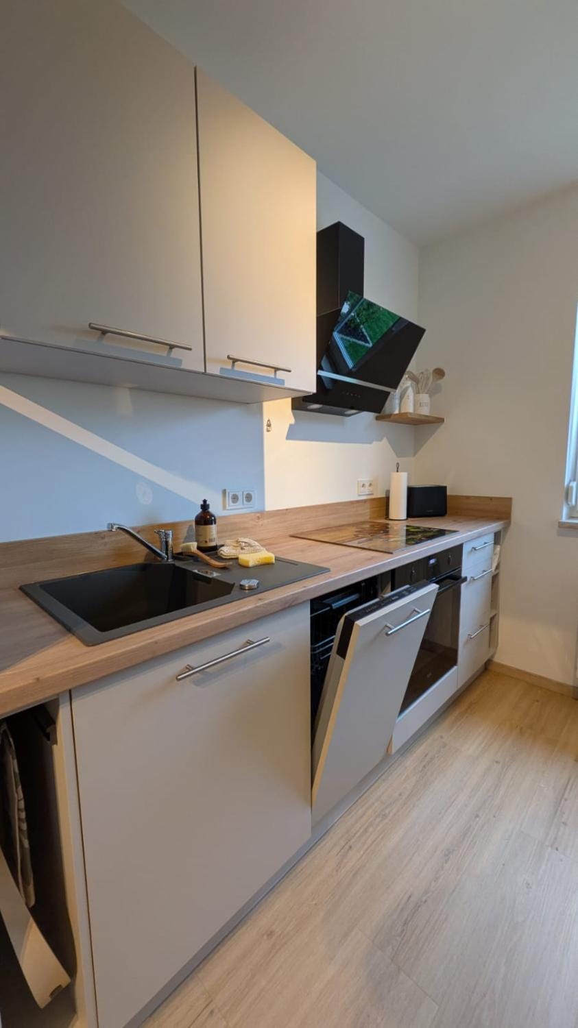 Elbglück Dresden Apartment in Dresden