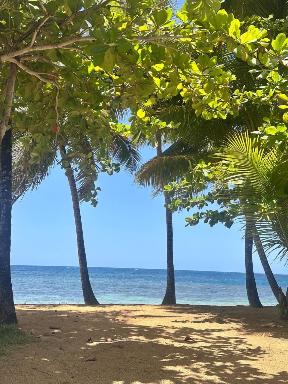 Beach Apartment at Portillo Beach, Las Terrenas Apartment in Samaná Province