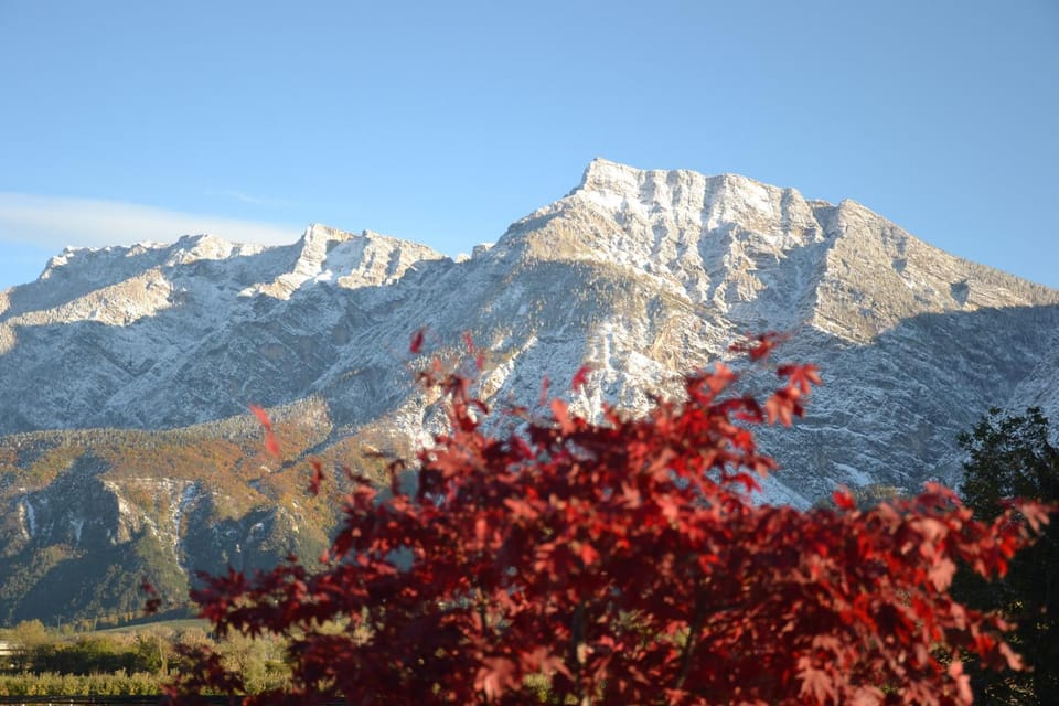 Natural landscape, Winter, Garden, View (from property/room), Garden view, Mountain view, Mountain view