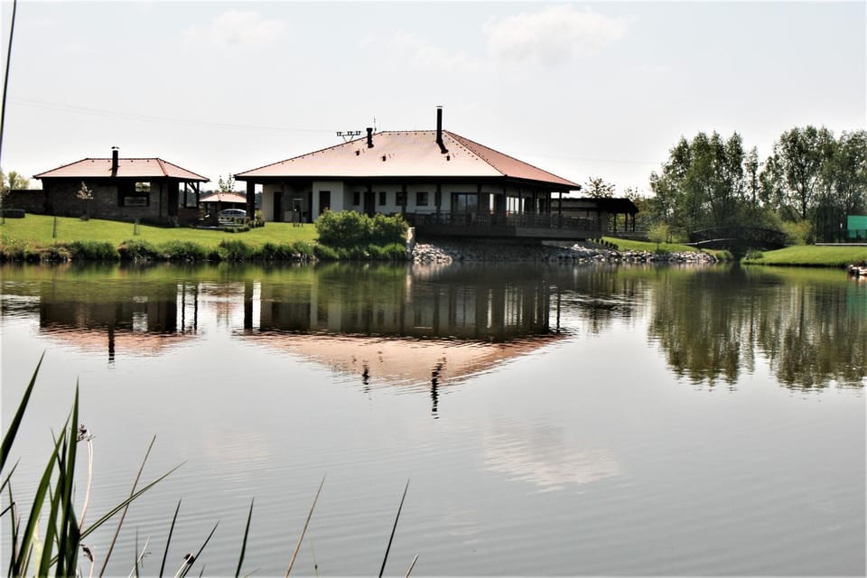 Restaurant/places to eat, Off site, Natural landscape, Other, Area and facilities, Location