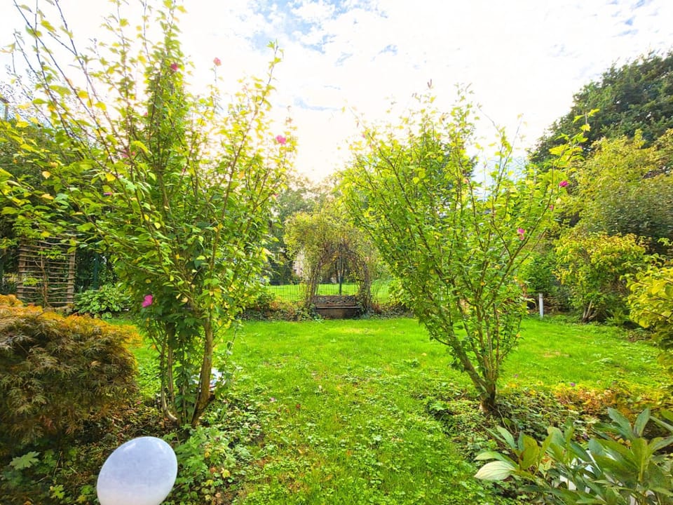 Day, Garden, Garden view
