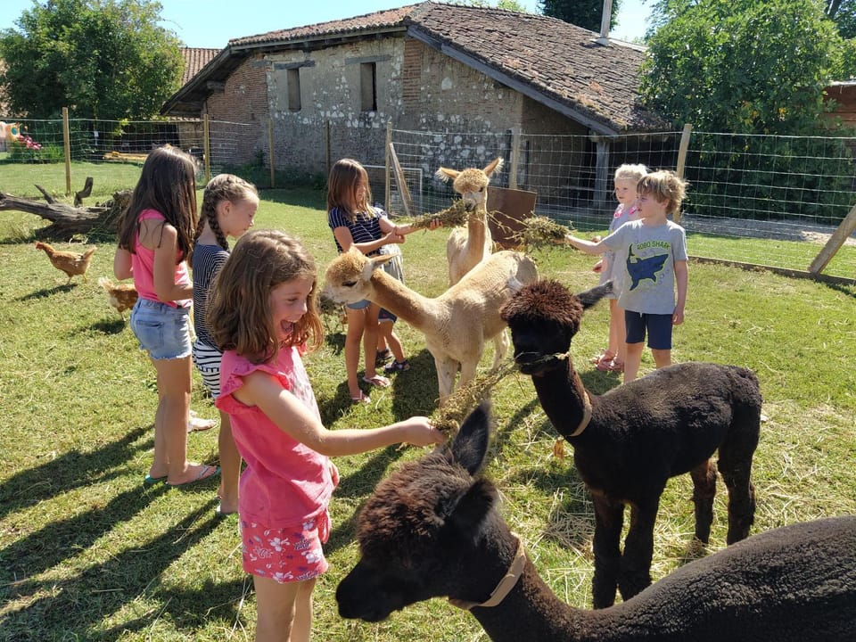 Domaine Ramonjavel, glamping & alpaca's Bed and Breakfast in Occitanie