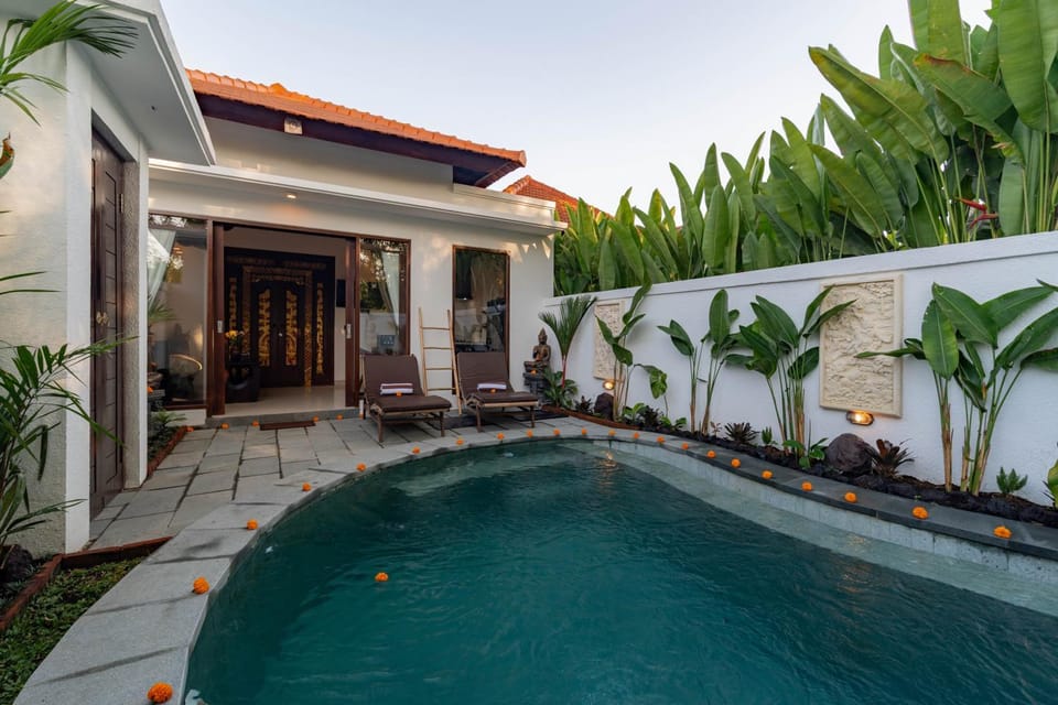 Day, Garden, Garden view, Pool view