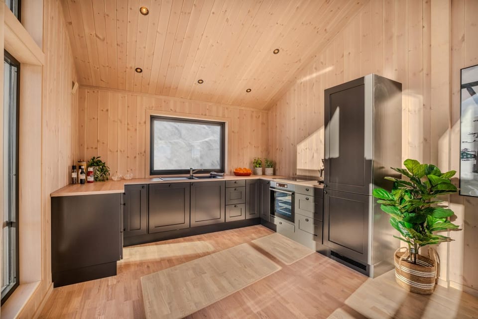 Kitchen or kitchenette, dishwasher, oven, stove