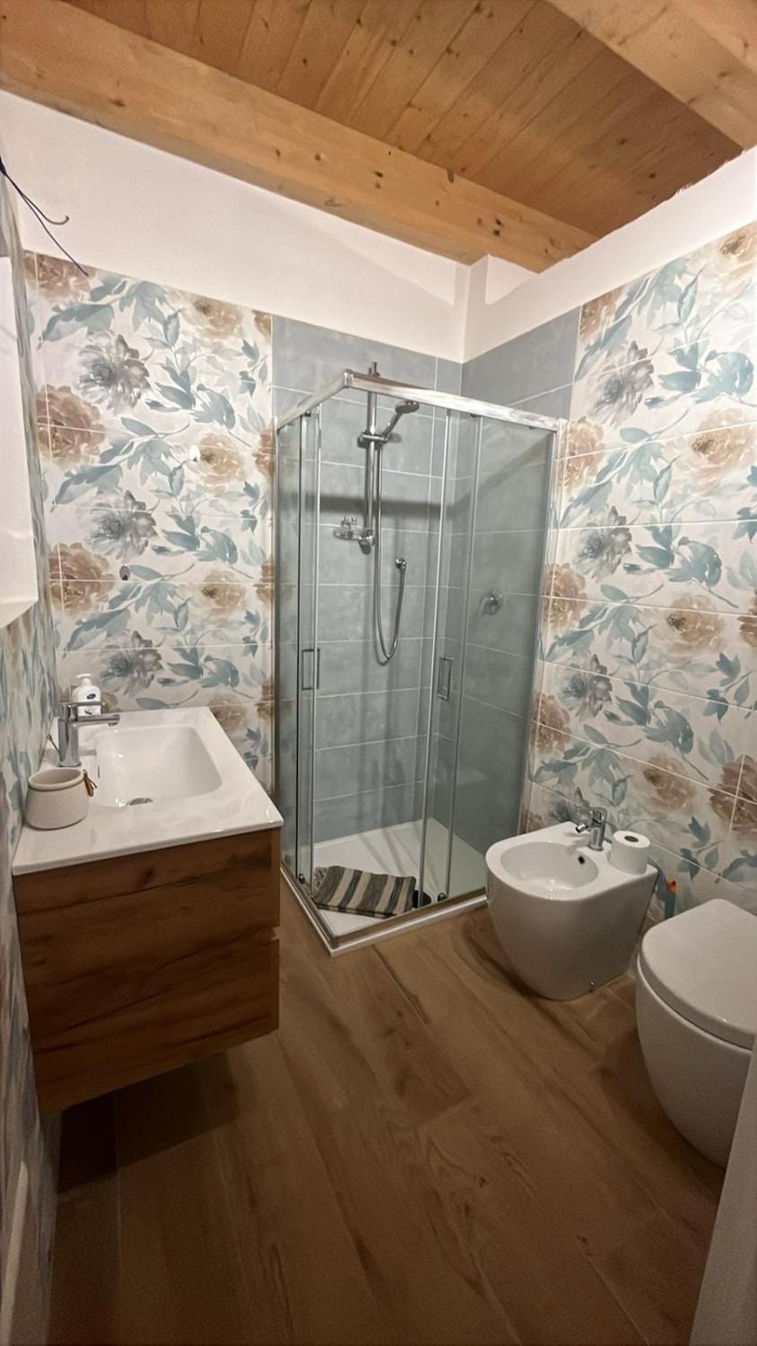 Shower, Toilet, Bathroom, bidet