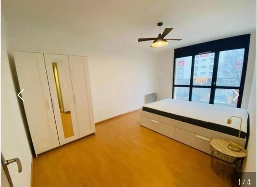 Aleokol marie roger Apartment in Strasbourg