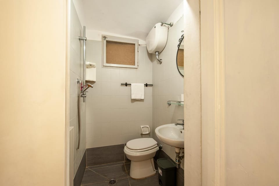Shower, Toilet, Bathroom, bidet
