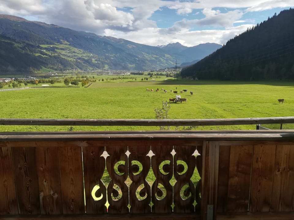 Böglerhof Apartment in Uderns