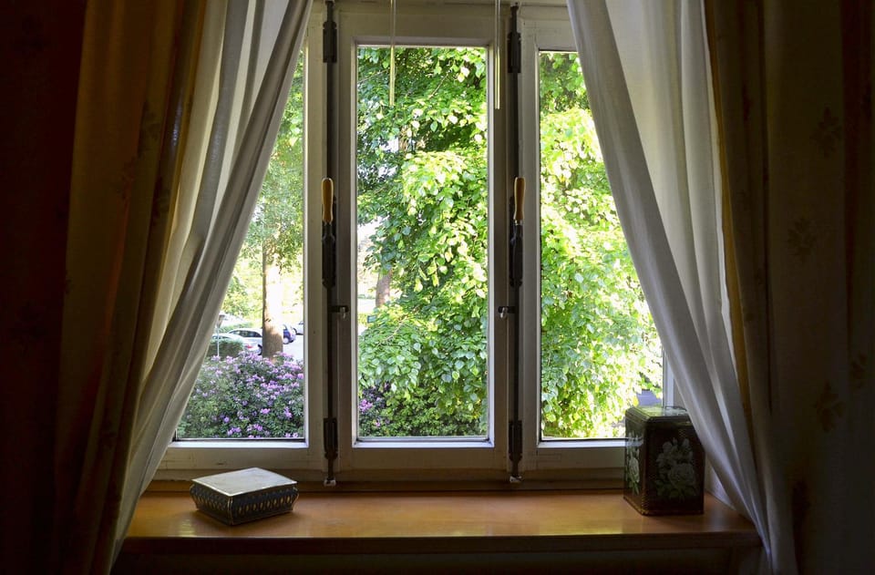 Garden view