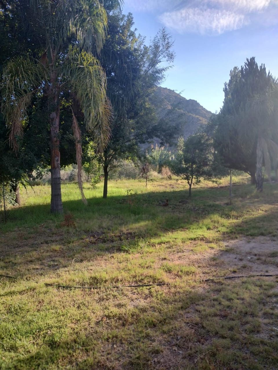 Cabañas La Adita Apartment in San Juan Province, Argentina