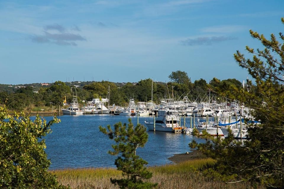 Day, River view