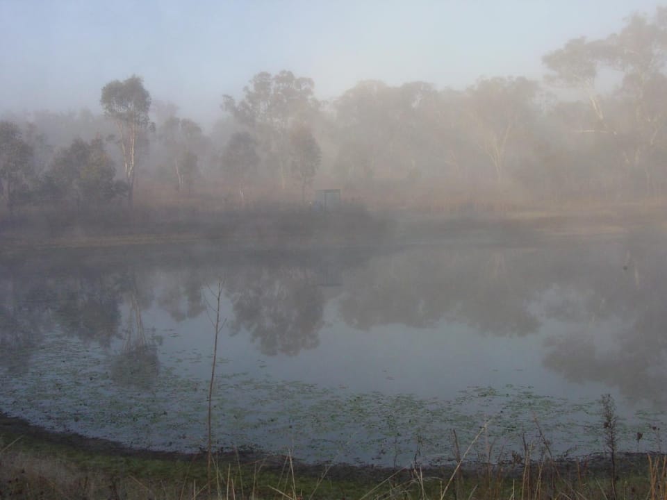 Natural landscape