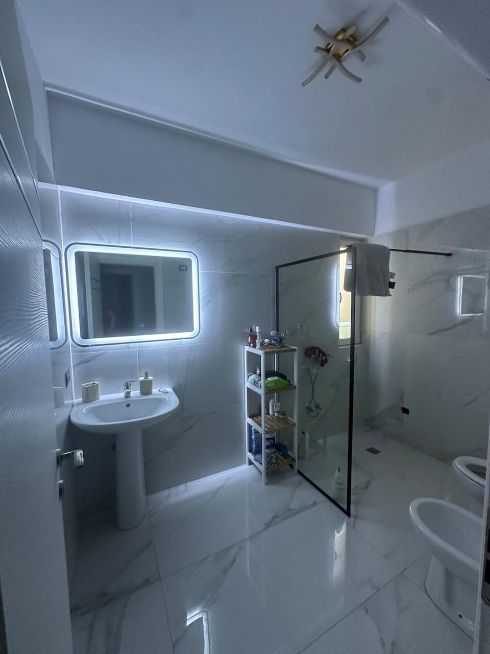 Lake View Luxury Apartment Apartment in Tirana