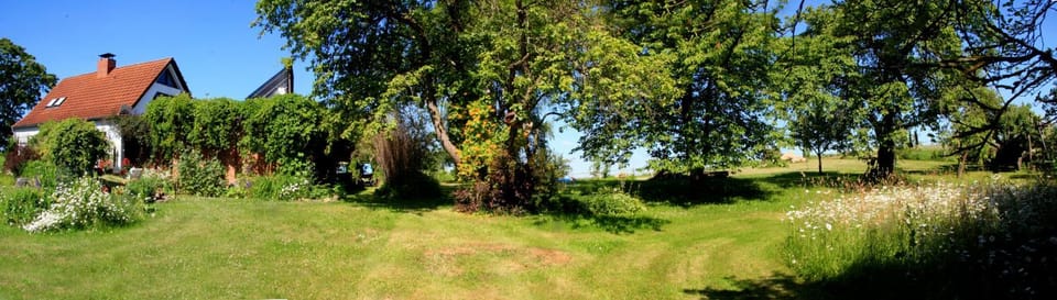 Property building, Garden view