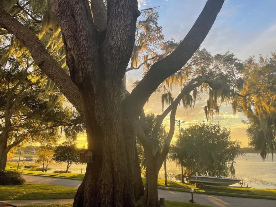 Best sunsets in Winter Haven Lakefront home 5 minutes from downtown! House in Winter Haven