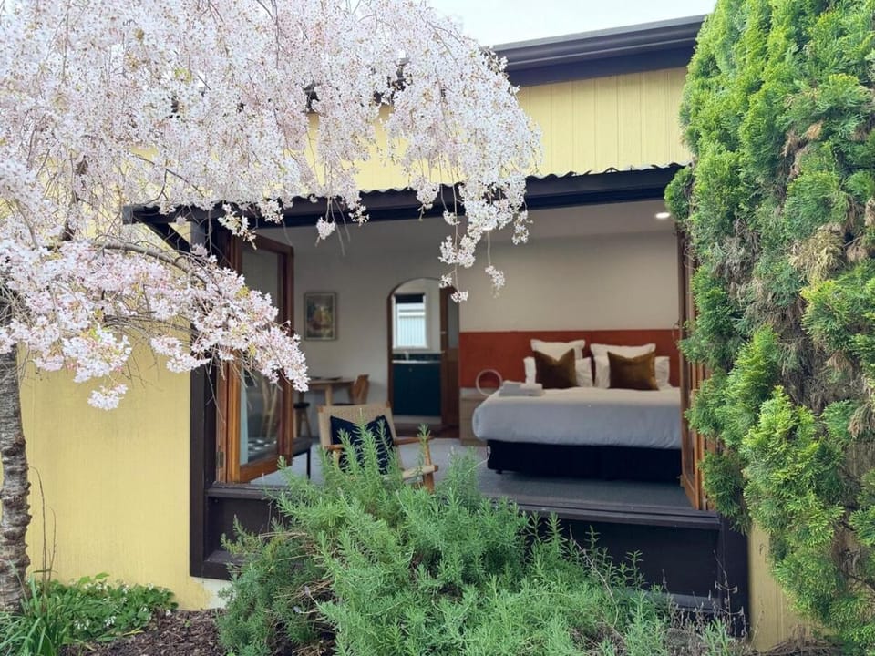 Greytown Shy Studio Apartment in Wellington Region