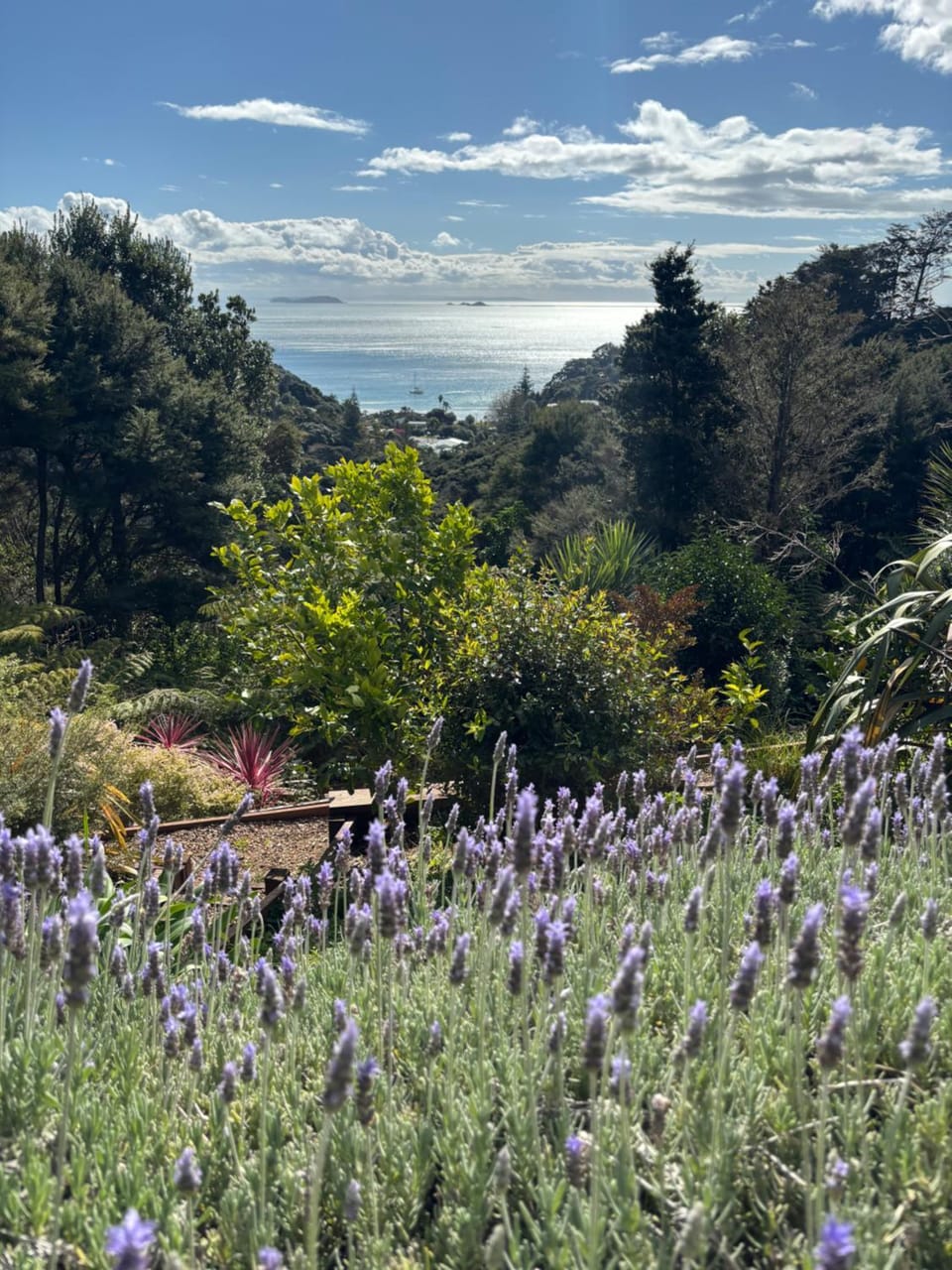 Garden, Garden view