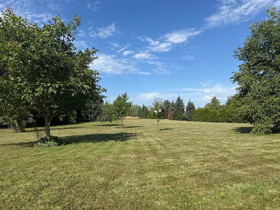 Natural landscape, Garden, Garden view