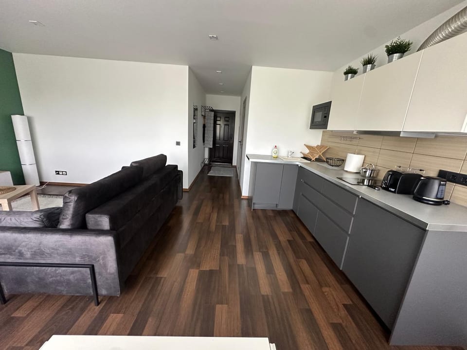 Apartamenti Apartment in Latvia