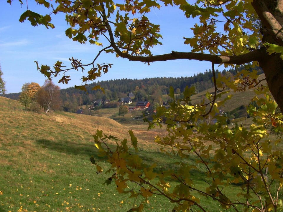 Natural landscape